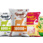 Cattle feed