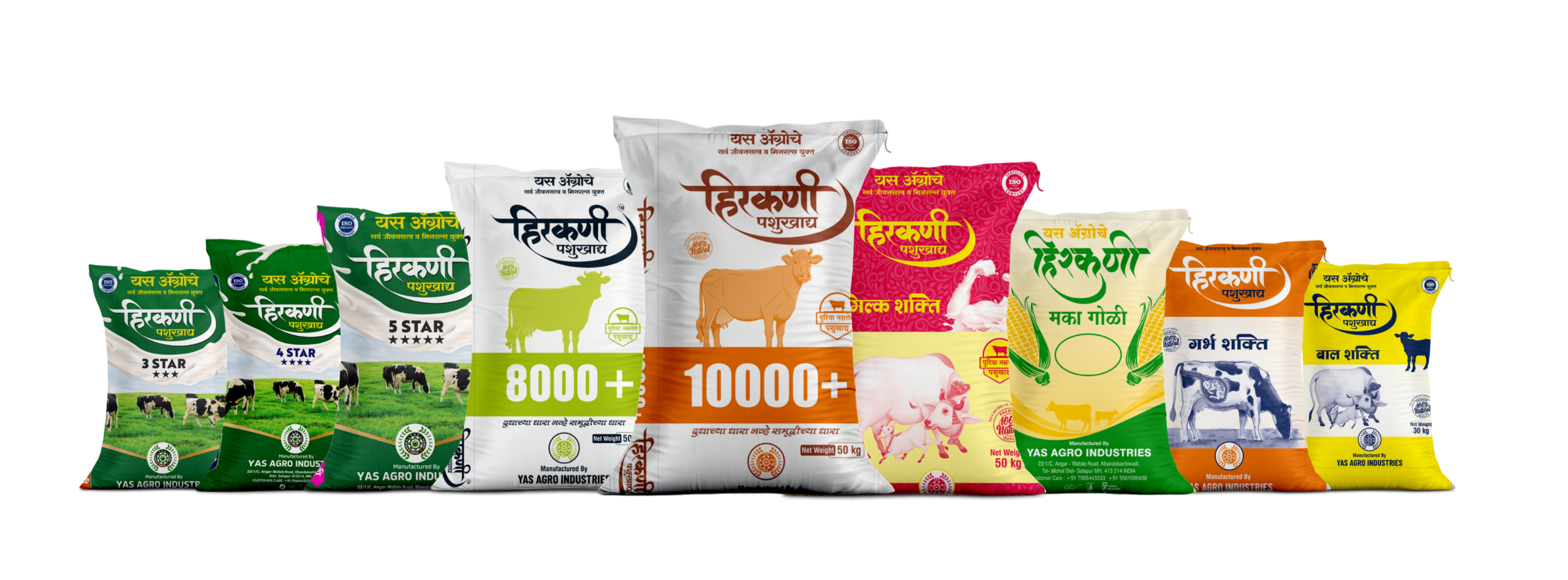 Best Cattle Feed in India – Why Hirkani Pashukhadya by YAS AGRO INDUSTRIES is Becoming Farmers’ First Choice